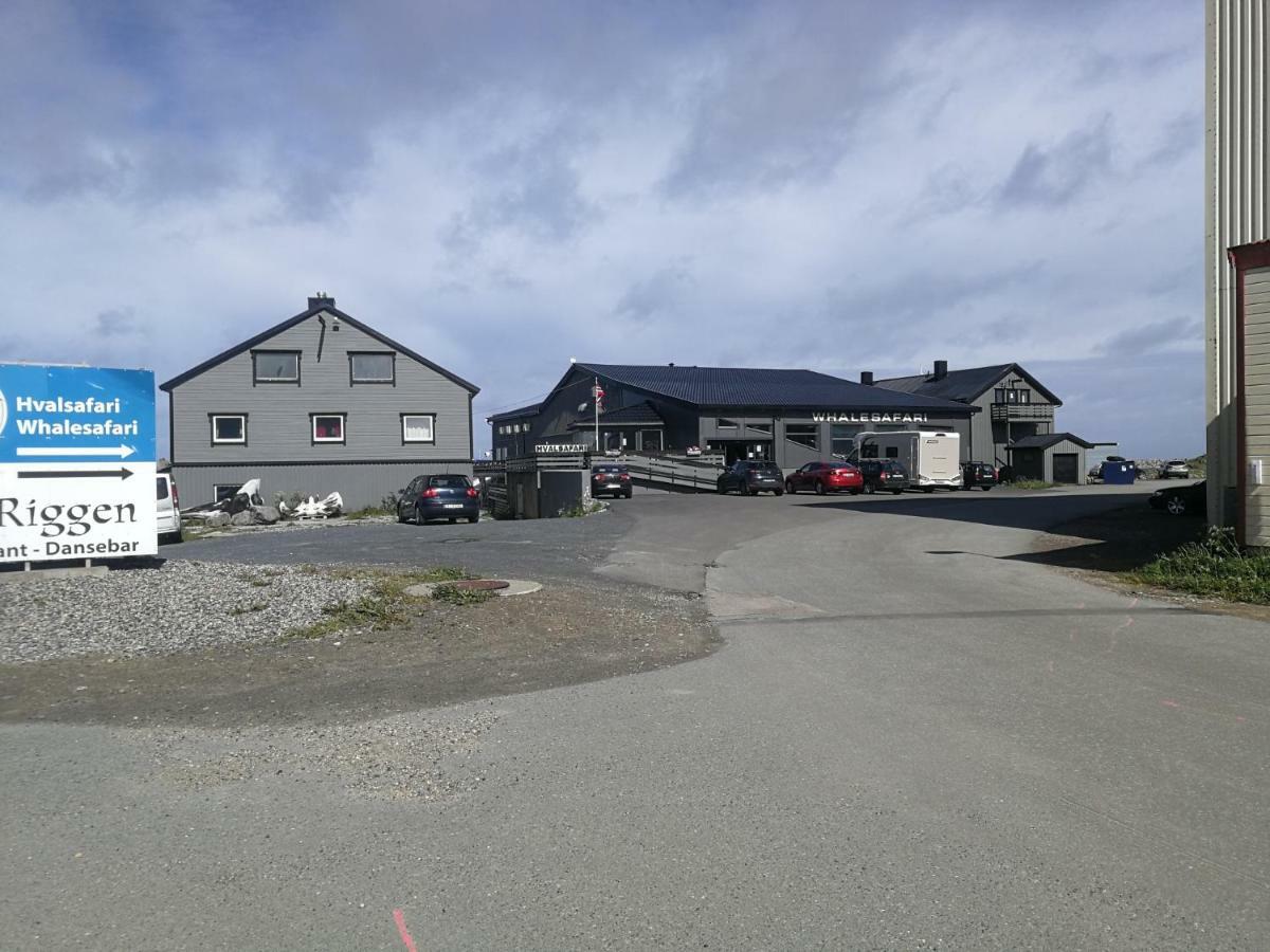 Apt 201 - Andenes Whale Safari Apartments Esterno foto