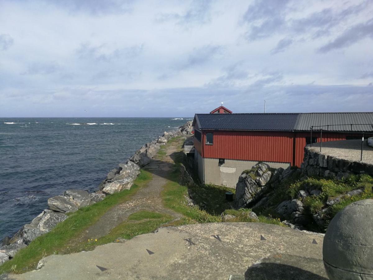Apt 201 - Andenes Whale Safari Apartments Esterno foto